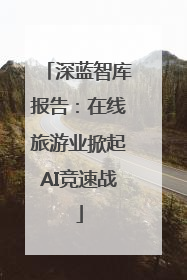 深蓝智库报告：在线旅游业掀起AI竞速战
